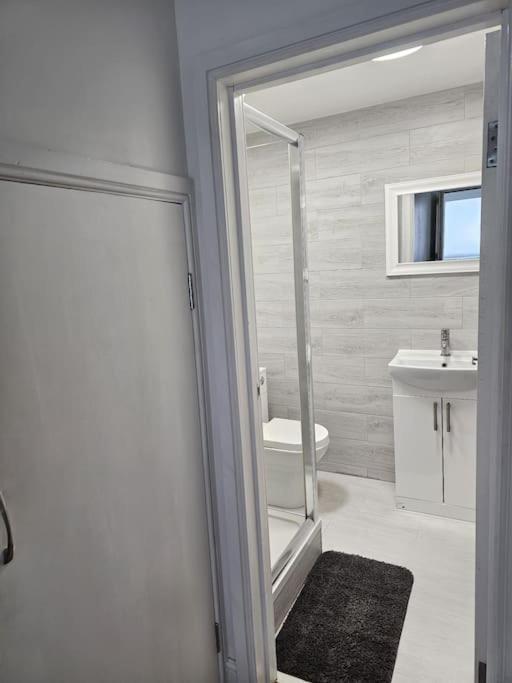 Beautiful Garden Flat Near Central Лондон Екстериор снимка